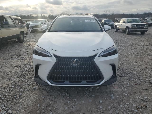 2024 Lexus NX 250 Premium