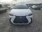 2024 Lexus NX 250 Premium