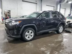 Salvage cars for sale from Copart Ham Lake, MN: 2019 Toyota Rav4 XLE