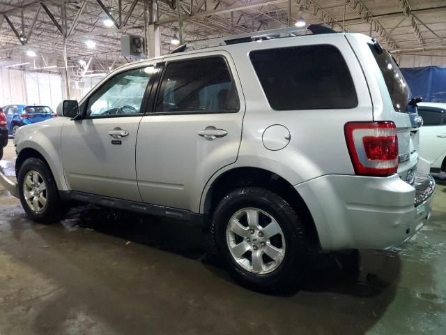 2010 Ford Escape Limited