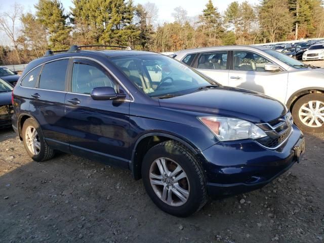 2010 Honda CR-V EXL