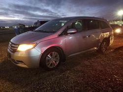 Salvage cars for sale at San Diego, CA auction: 2016 Honda Odyssey SE