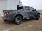 2019 Ford F150 Raptor