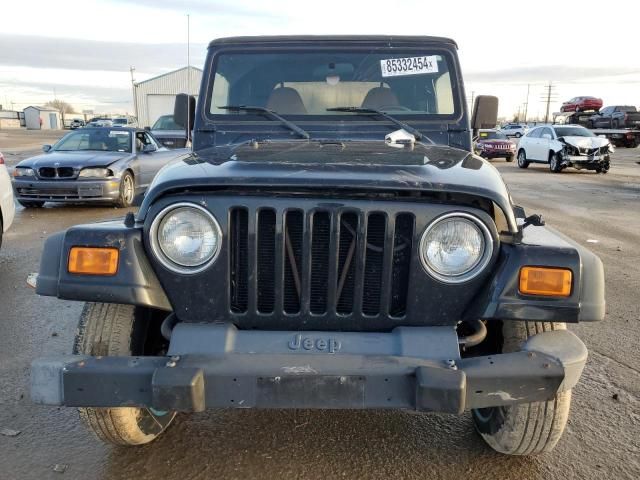 2002 Jeep Wrangler / TJ X