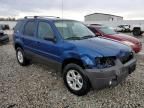 2007 Ford Escape XLT