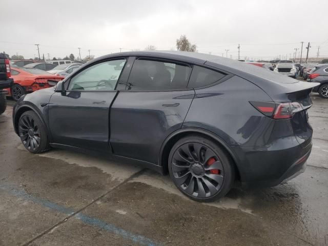 2024 Tesla Model Y