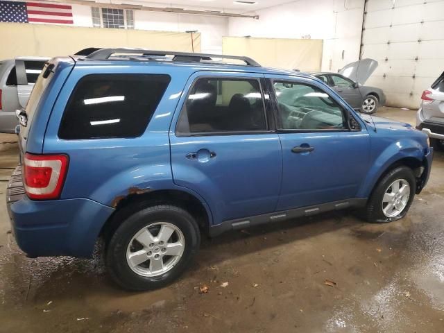 2009 Ford Escape XLT