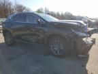 2023 Lexus NX 350