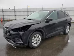 Salvage cars for sale at Antelope, CA auction: 2023 Ford Escape Active