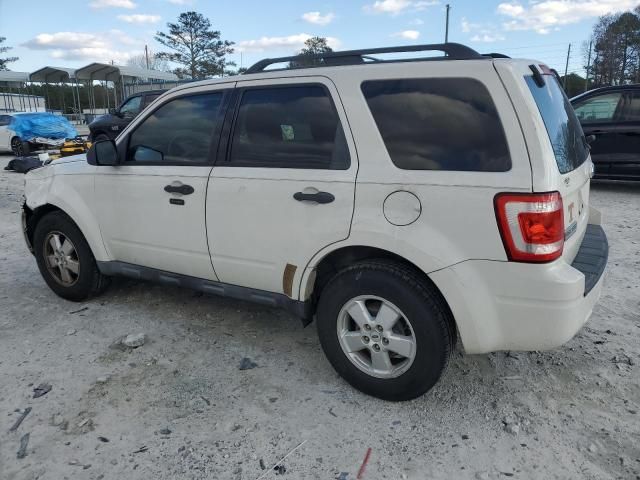 2010 Ford Escape XLT