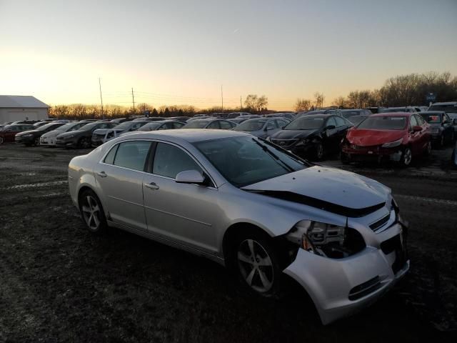 2009 Chevrolet Malibu 2LT