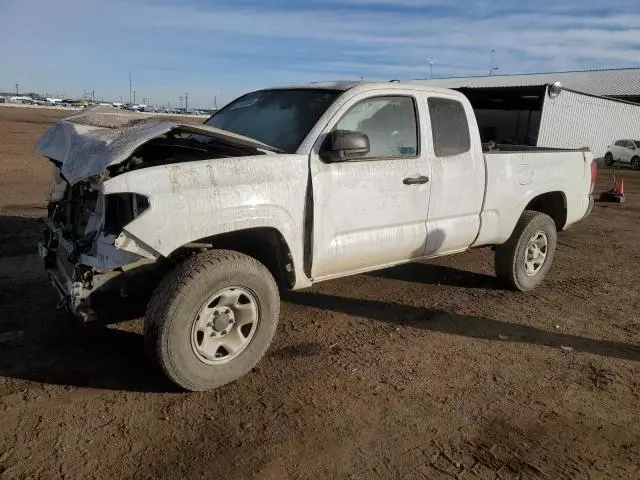 2021 Toyota Tacoma Access Cab