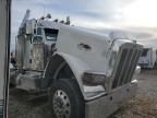 2024 Peterbilt 389