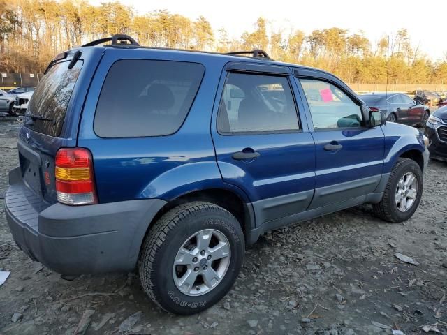 2007 Ford Escape XLT