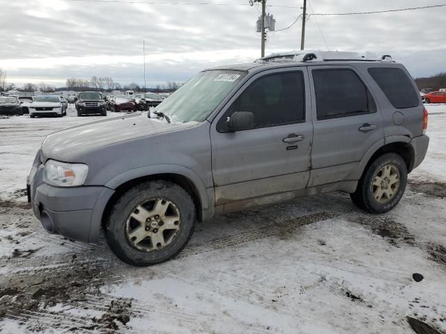 2007 Ford Escape Limited