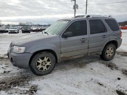 2007 Ford Escape Limited en venta en Portland, MI