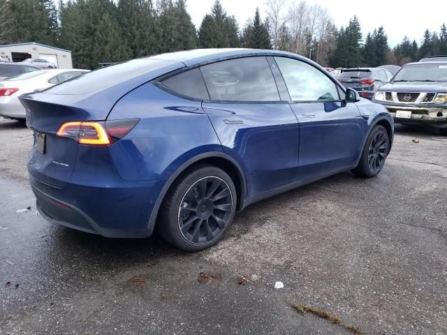 2020 Tesla Model Y