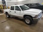 2001 Dodge Dakota Quattro