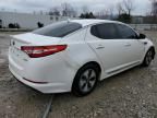 2013 KIA Optima Hybrid