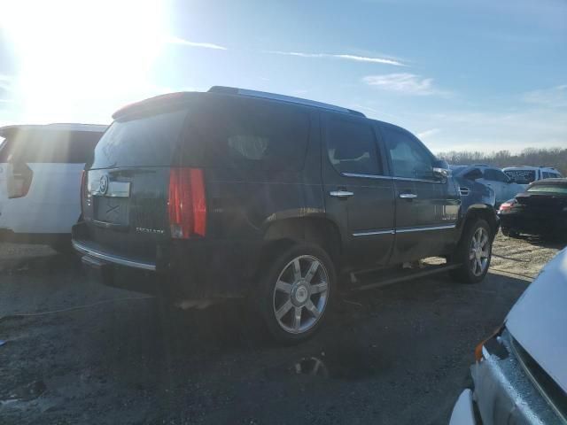 2010 Cadillac Escalade Premium