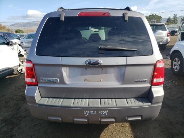 2008 Ford Escape XLT