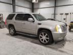 2007 Cadillac Escalade Luxury