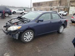 Salvage cars for sale at Fredericksburg, VA auction: 2013 Toyota Corolla Base