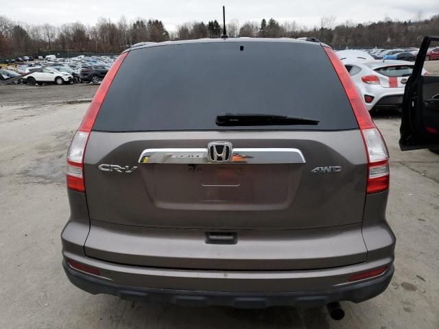 2010 Honda CR-V EX