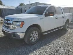 Ford salvage cars for sale: 2013 Ford F150 Supercrew