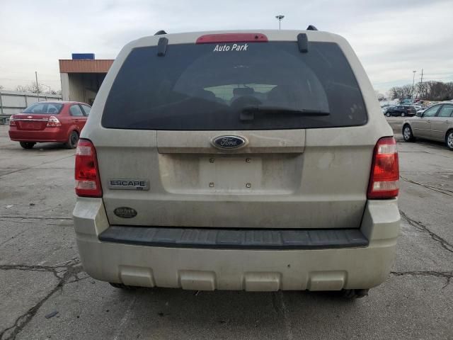 2009 Ford Escape XLT