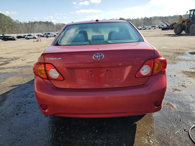 2010 Toyota Corolla Base