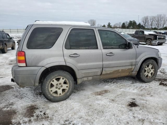 2007 Ford Escape Limited