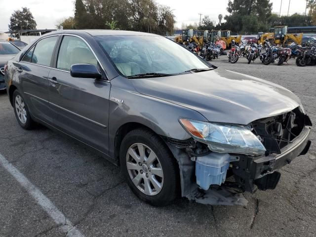 2009 Toyota Camry Hybrid