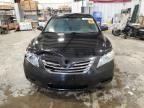 2008 Toyota Camry Hybrid