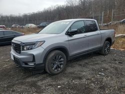 Salvage cars for sale at Baltimore, MD auction: 2023 Honda Ridgeline Sport