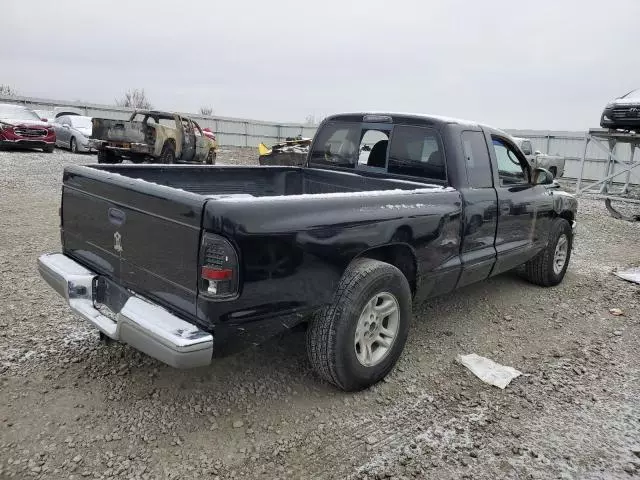 2004 Dodge Dakota SLT