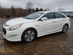 Salvage Cars with No Bids Yet For Sale at auction: 2013 Hyundai Sonata Hybrid