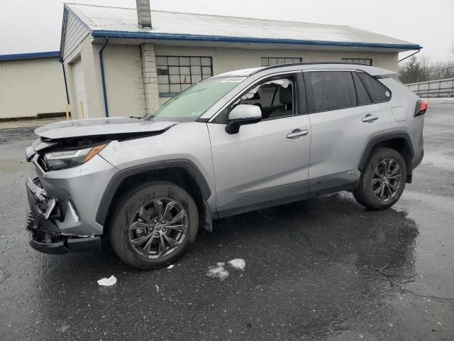 2023 Toyota Rav4 XLE Premium