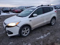 2016 Ford Escape SE en venta en Helena, MT