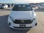 2023 Honda Odyssey EXL