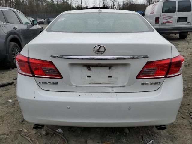 2010 Lexus ES 350