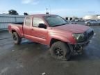 2006 Toyota Tacoma Prerunner Access Cab