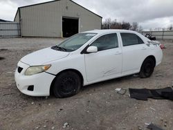 Salvage cars for sale at Lawrenceburg, KY auction: 2009 Toyota Corolla Base