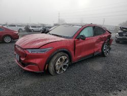 Salvage cars for sale at Eugene, OR auction: 2021 Ford Mustang MACH-E Premium