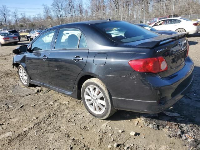 2010 Toyota Corolla Base