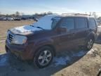 2014 Honda Pilot EXL