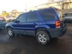 2006 Ford Escape XLT