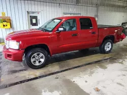 Dodge Vehiculos salvage en venta: 2008 Dodge Dakota Quad SLT