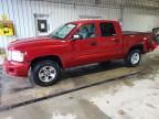 2008 Dodge Dakota Quad SLT