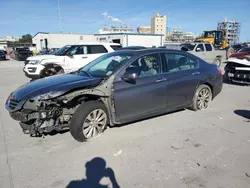 Honda Accord exl salvage cars for sale: 2013 Honda Accord EXL